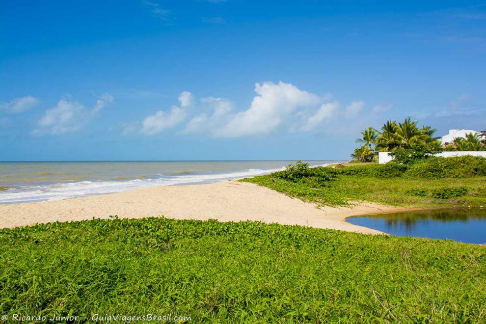 Imagem da vegetação rasteira e verdíssima da Praia da Lagoa Pequena.